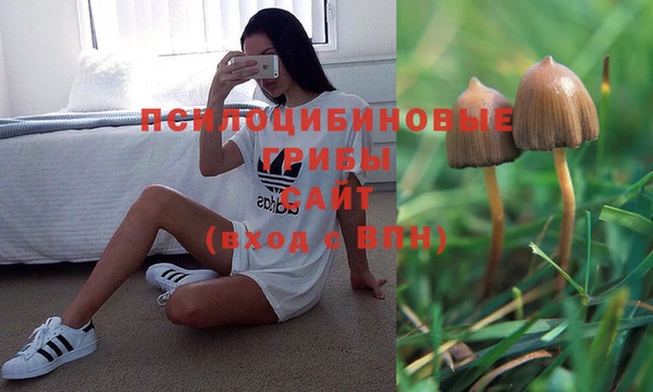 гидра Алзамай