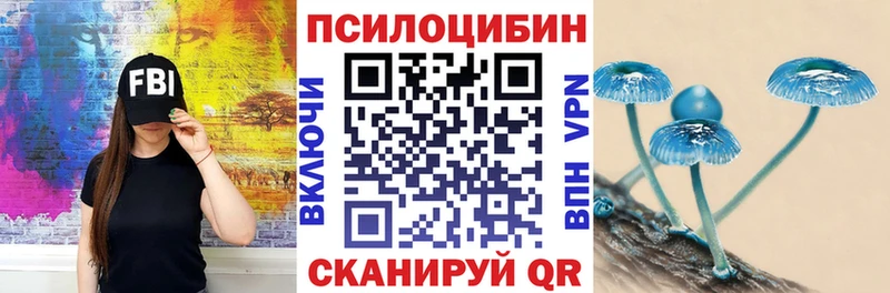 Псилоцибиновые грибы мицелий  Болхов 